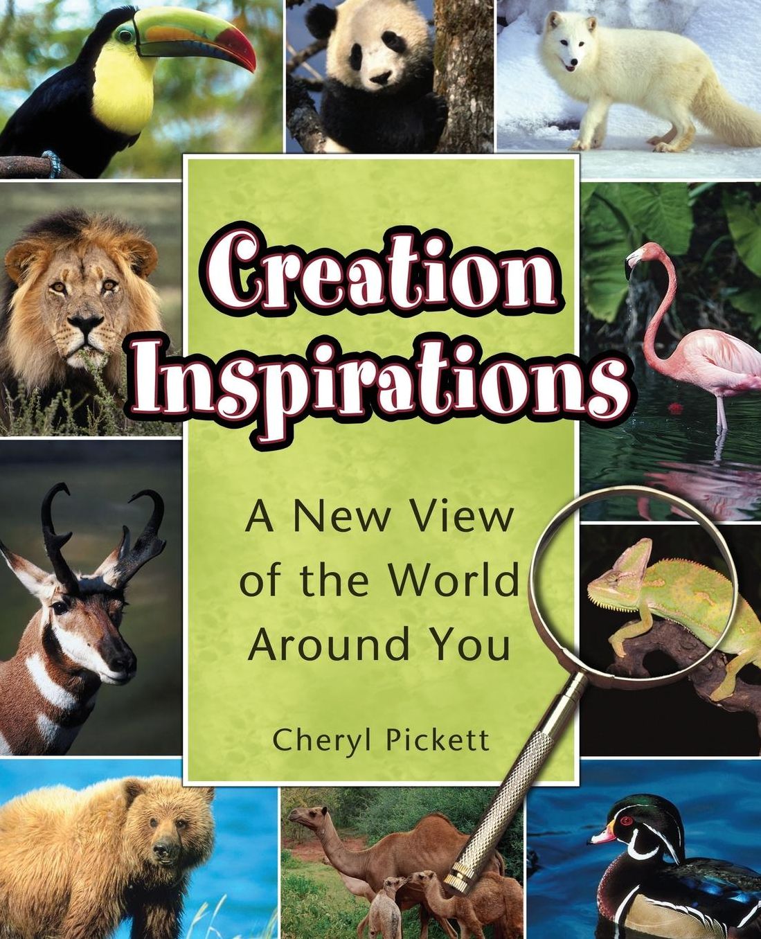 Creation Inspirations: A New View of the World Around You
