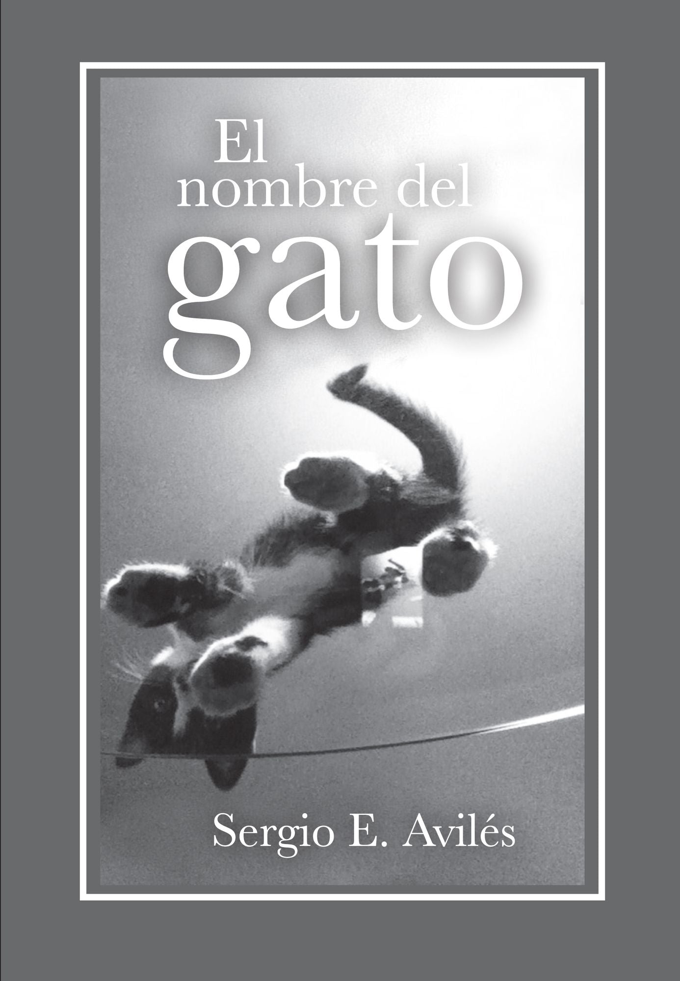 El nombre del gato