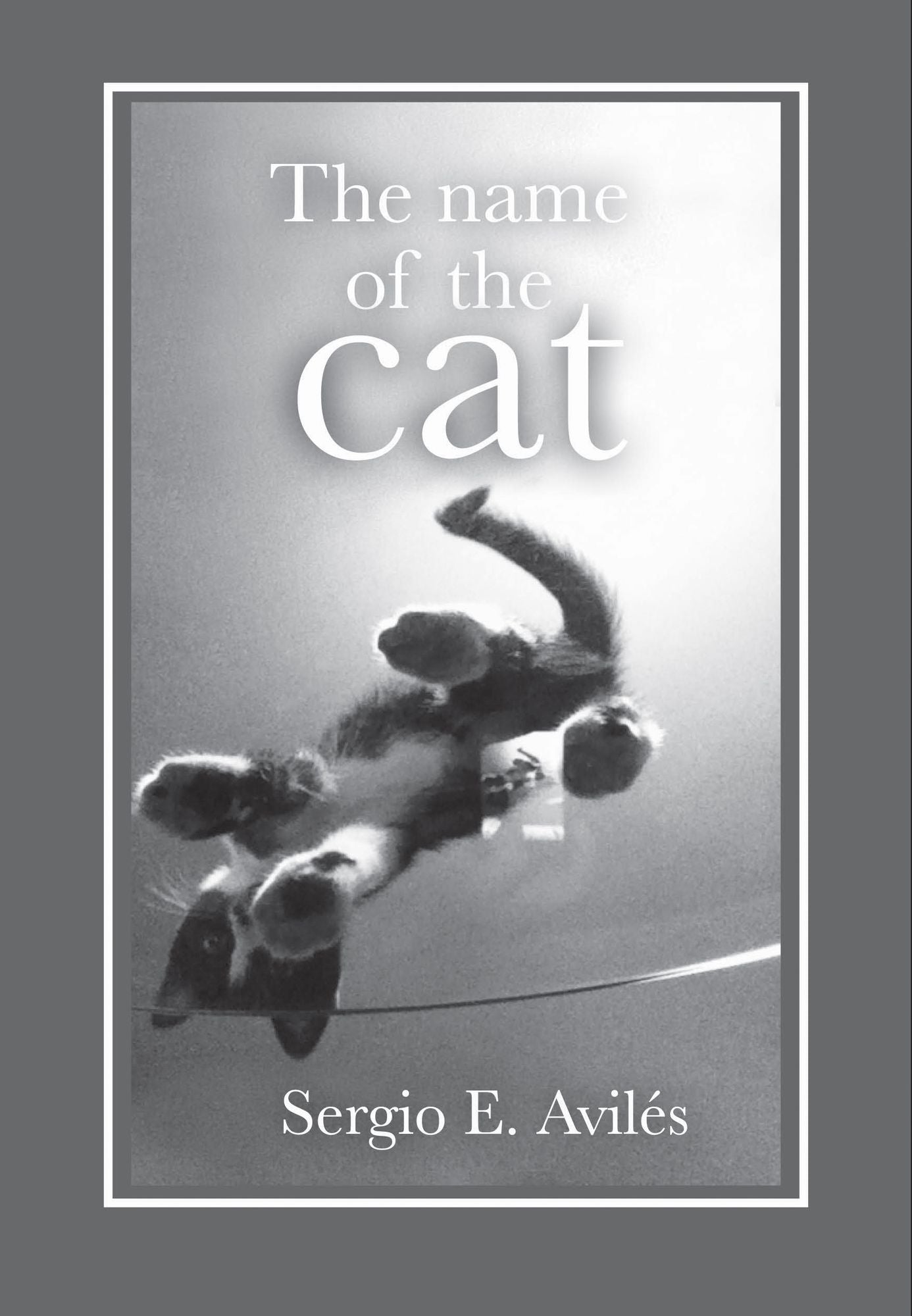 The Name of the Cat