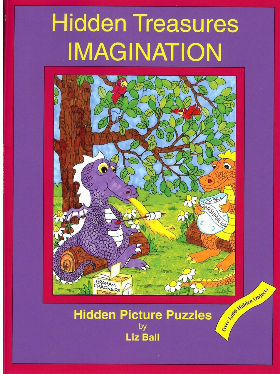 Hidden Treasures: Imagination: Hidden Picture Puzzles