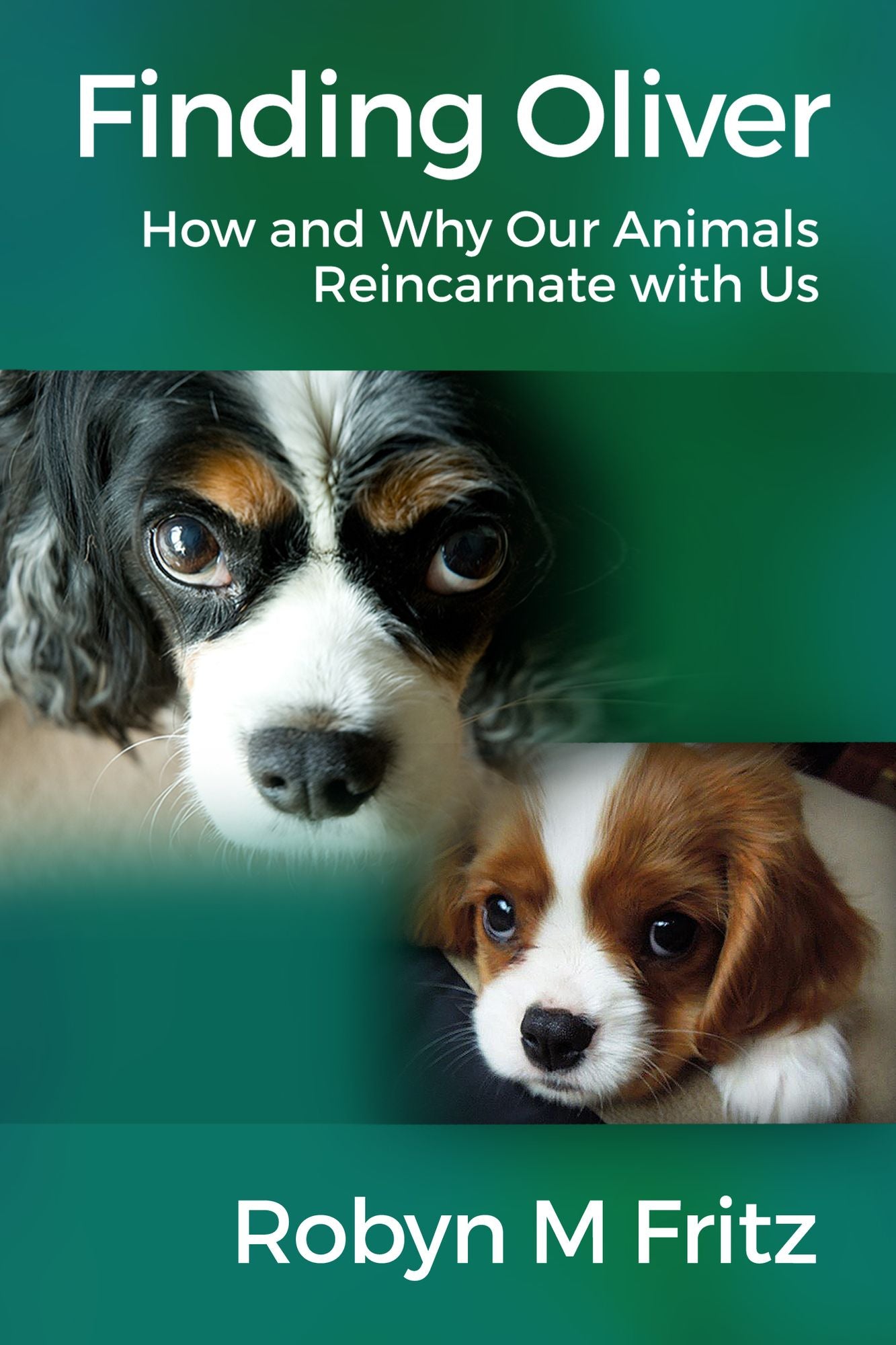 Finding Oliver: How and Why Our Animals Reincarnate With Us