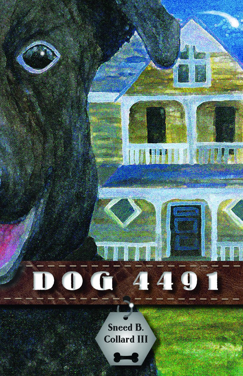 Dog 4491