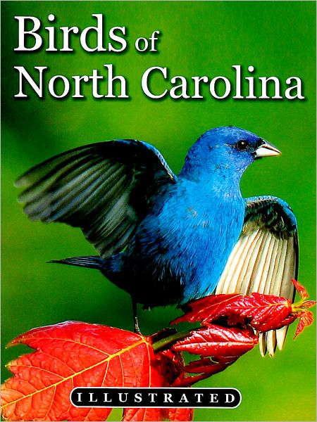 North Carolina's Illustrated Birds