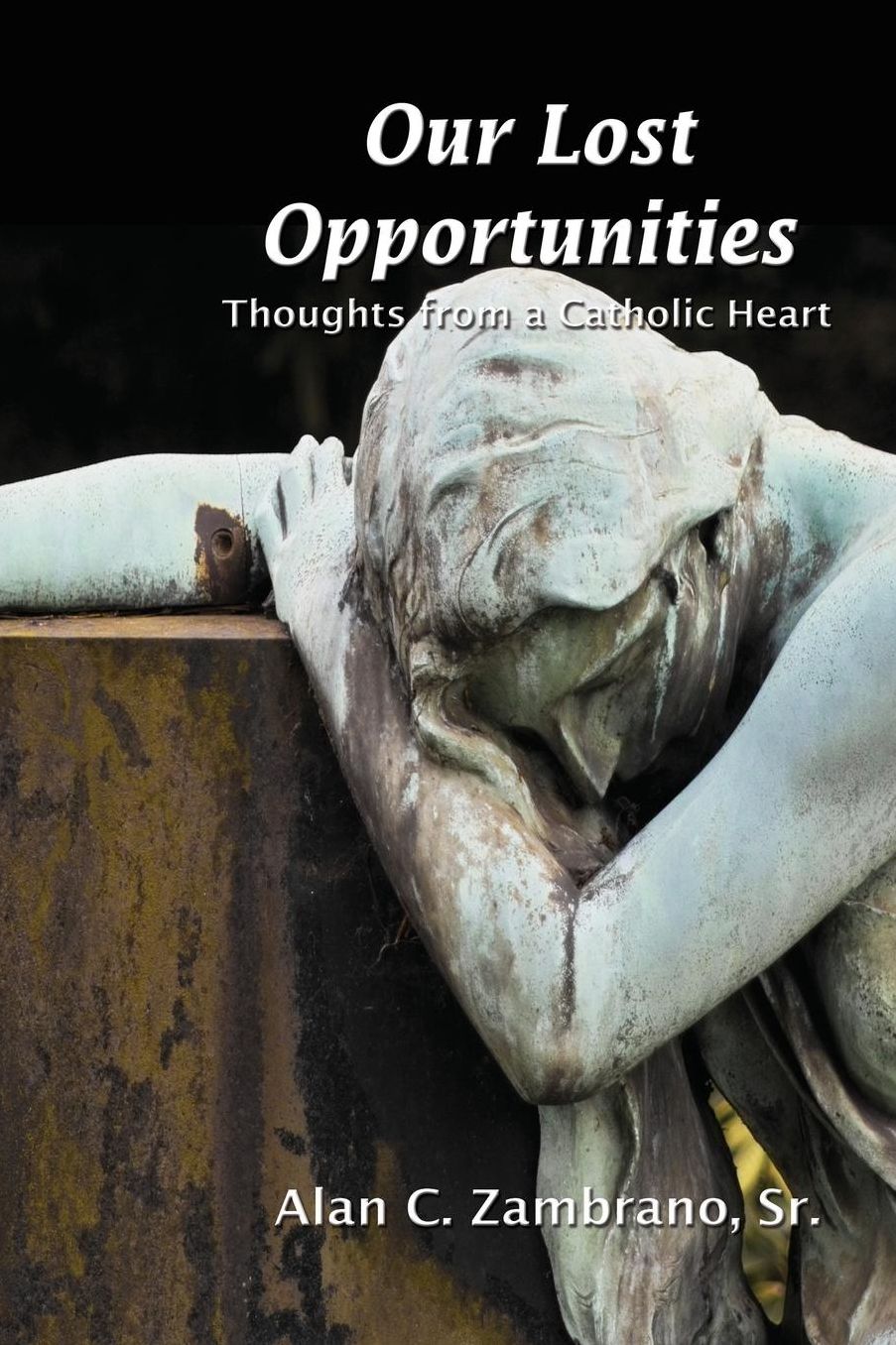 Our Lost Opportunities Thoughts from a Catholic Heart