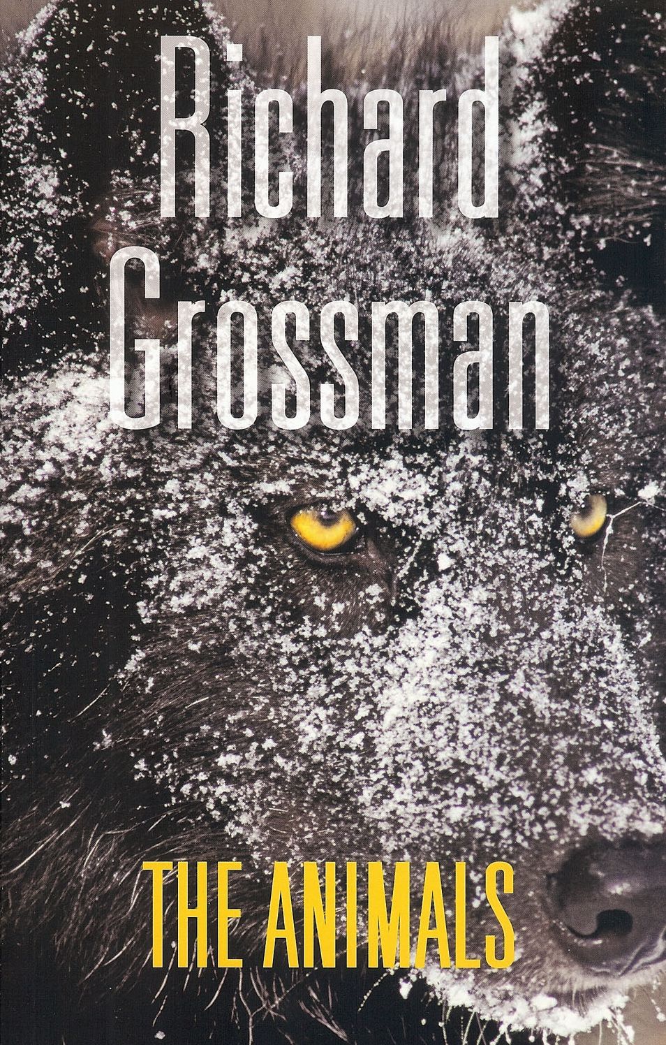 The Animals