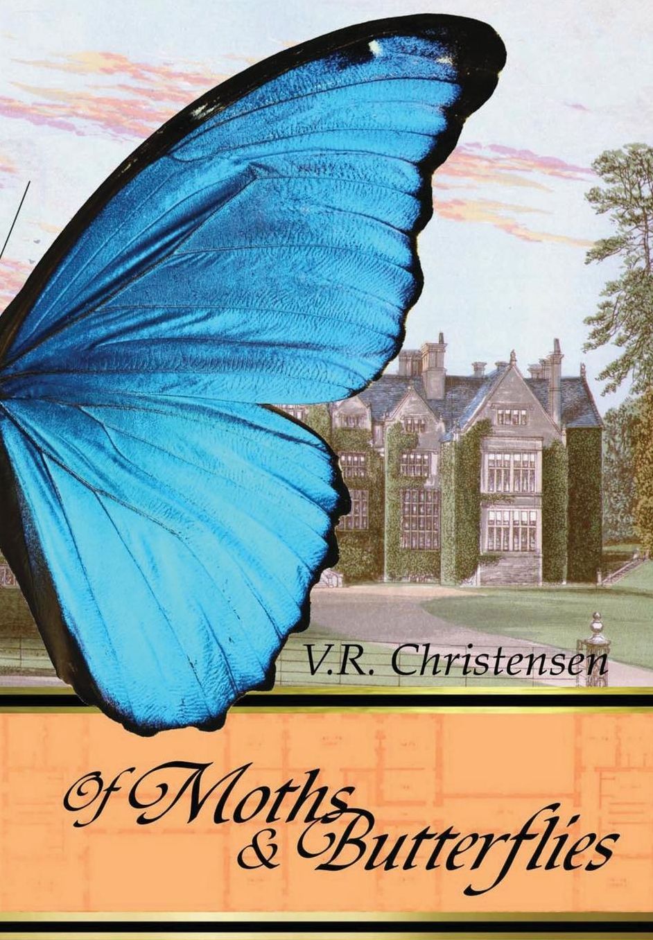 Of Moths & Butterflies