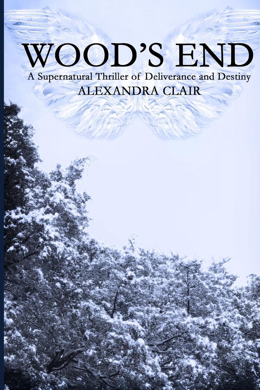Wood's End: A Supernatural Thriller of Deliverance and Destiny
