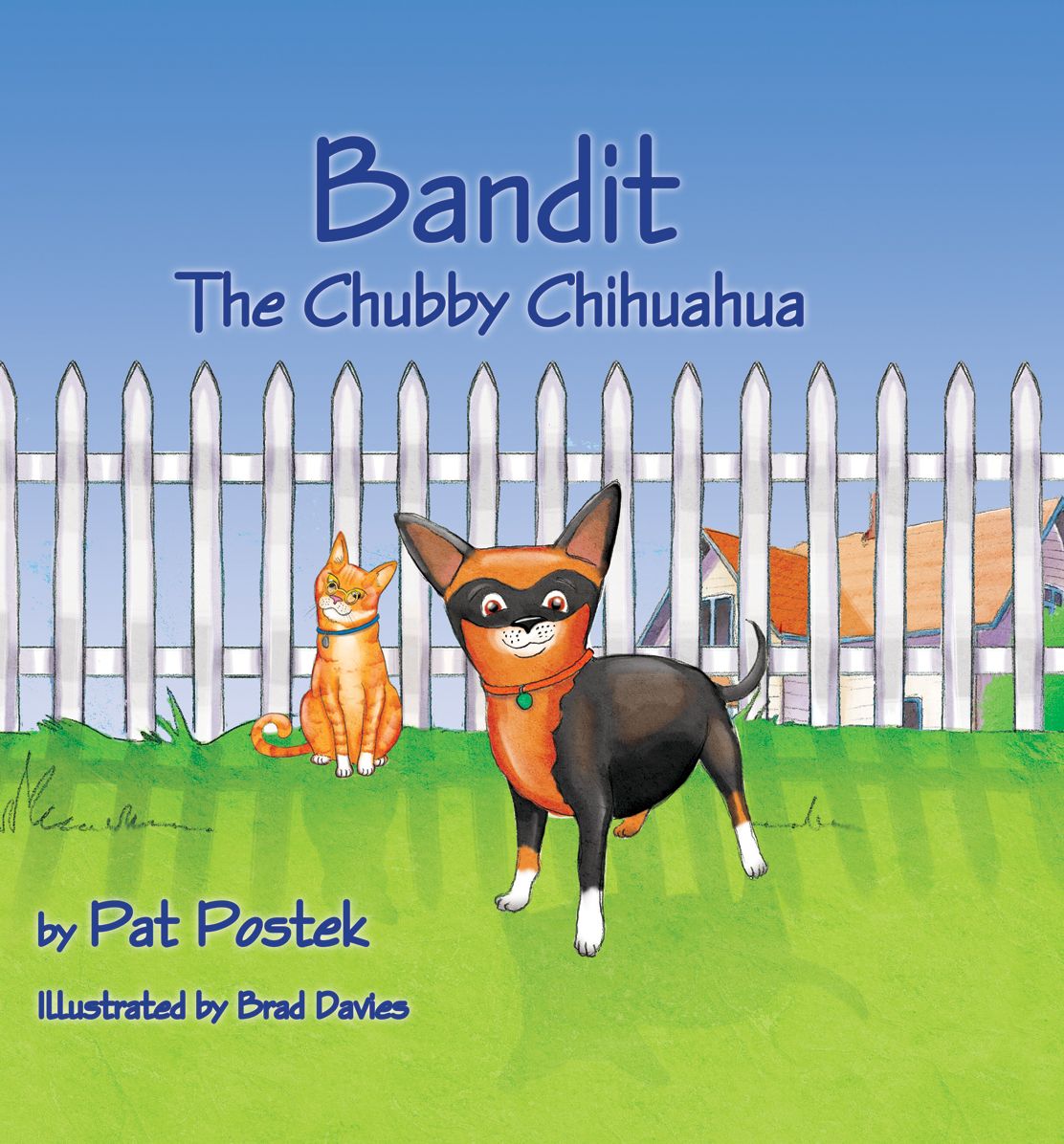 Bandit, The Chubby Chihuahua