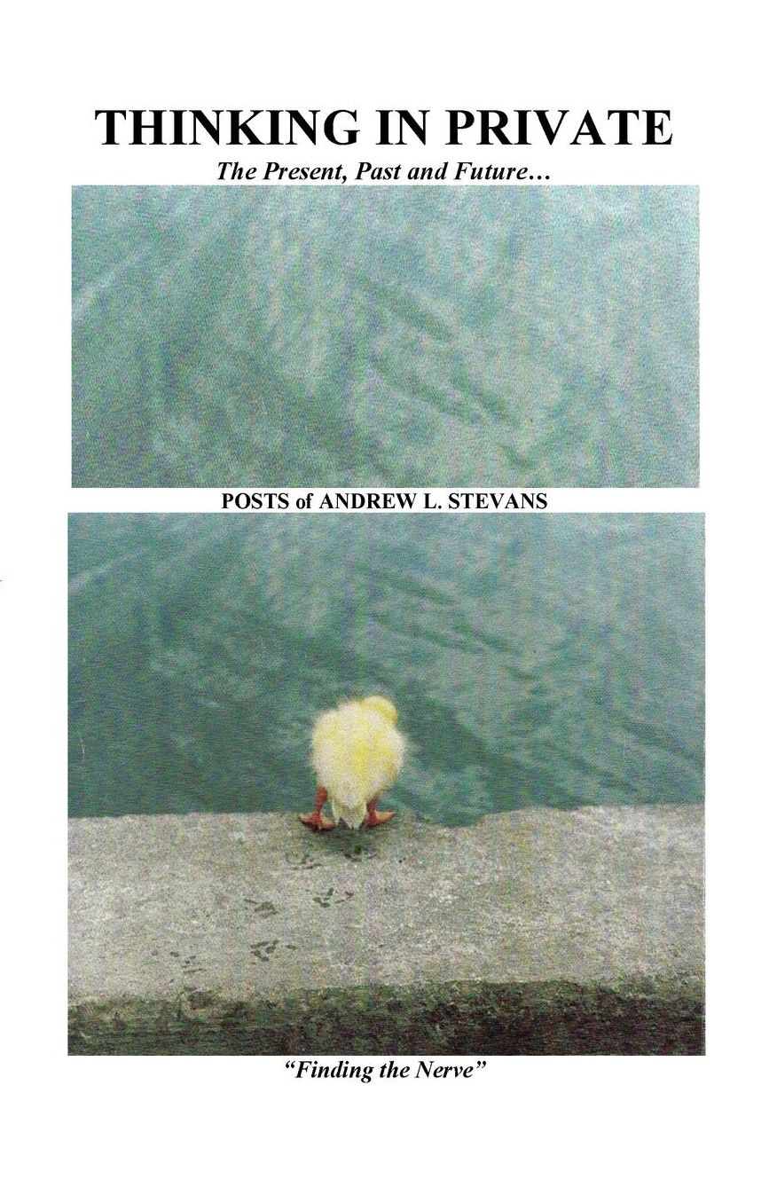 THINKING IN PRIVATE The Present, Past and Future...: POSTS of ANDREW L. STEVANS