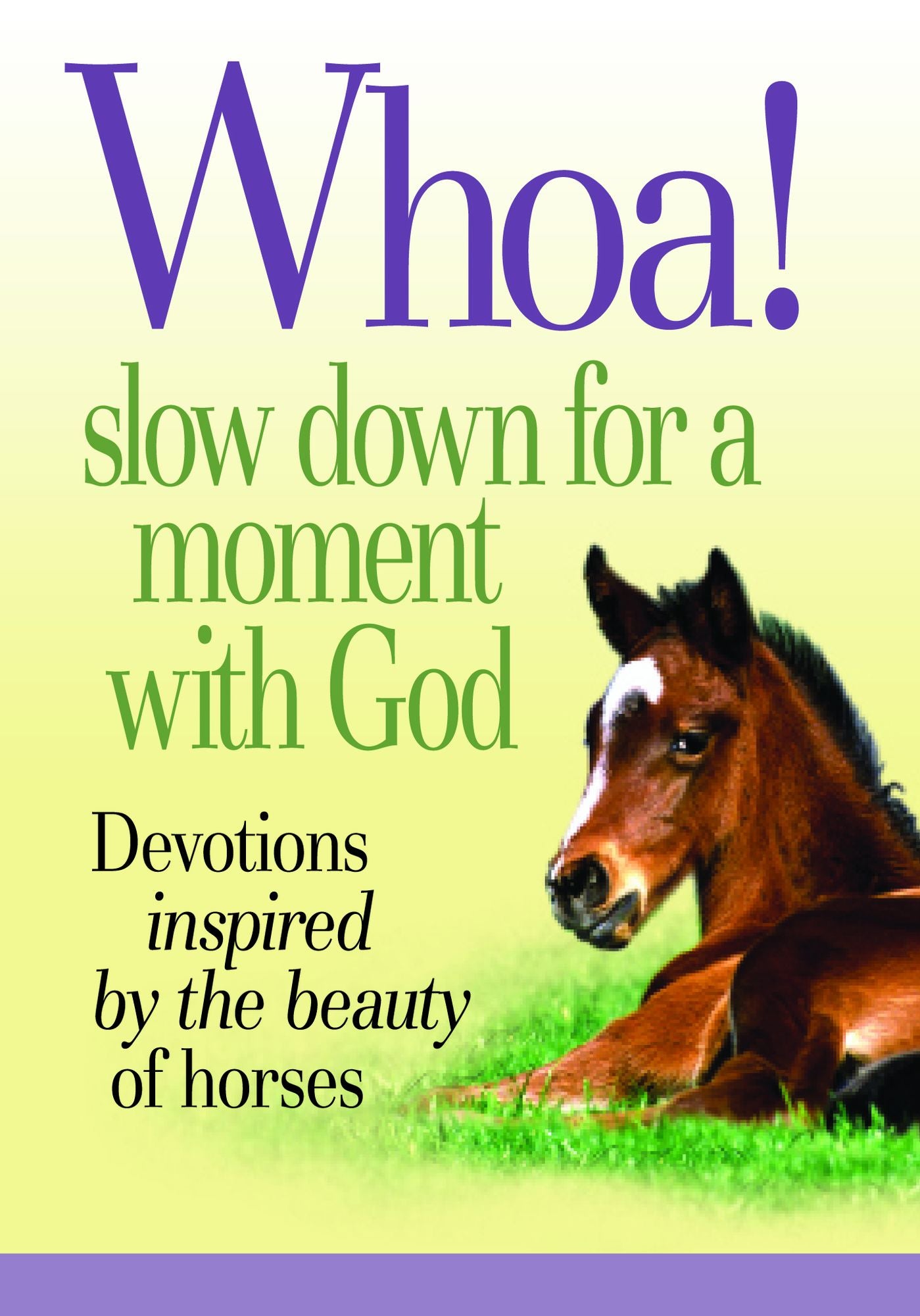 Whoa! Slow Down for a Moment with God: Devotions inspired by the beauty of horses