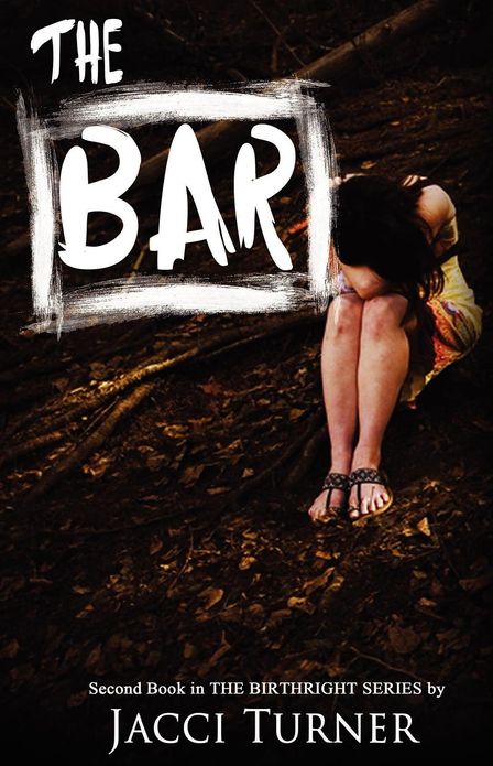 The Bar: Second Book, the Birthright Series