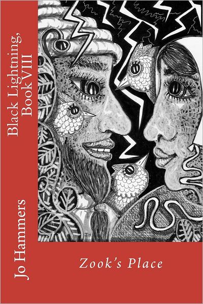 Zook's Place: (Black Lightning, Book VIII)
