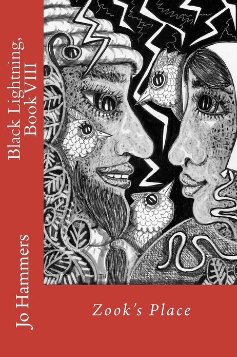 Zook's Place: (Black Lightning, Book VIII)