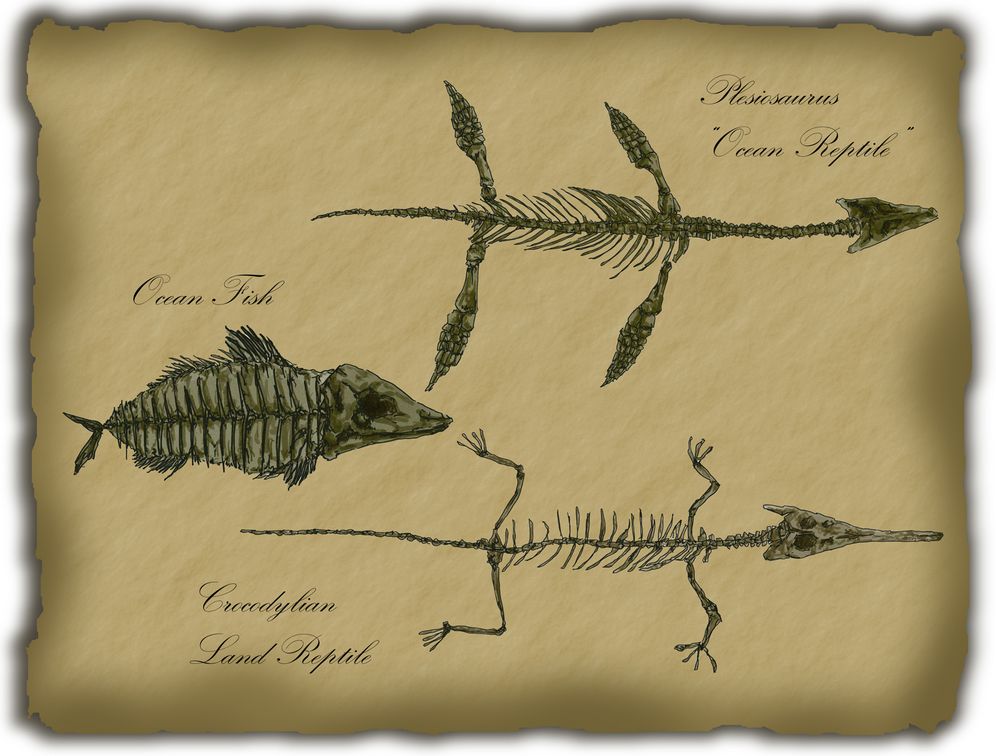 The Furious Case of the Fraudulent Fossil