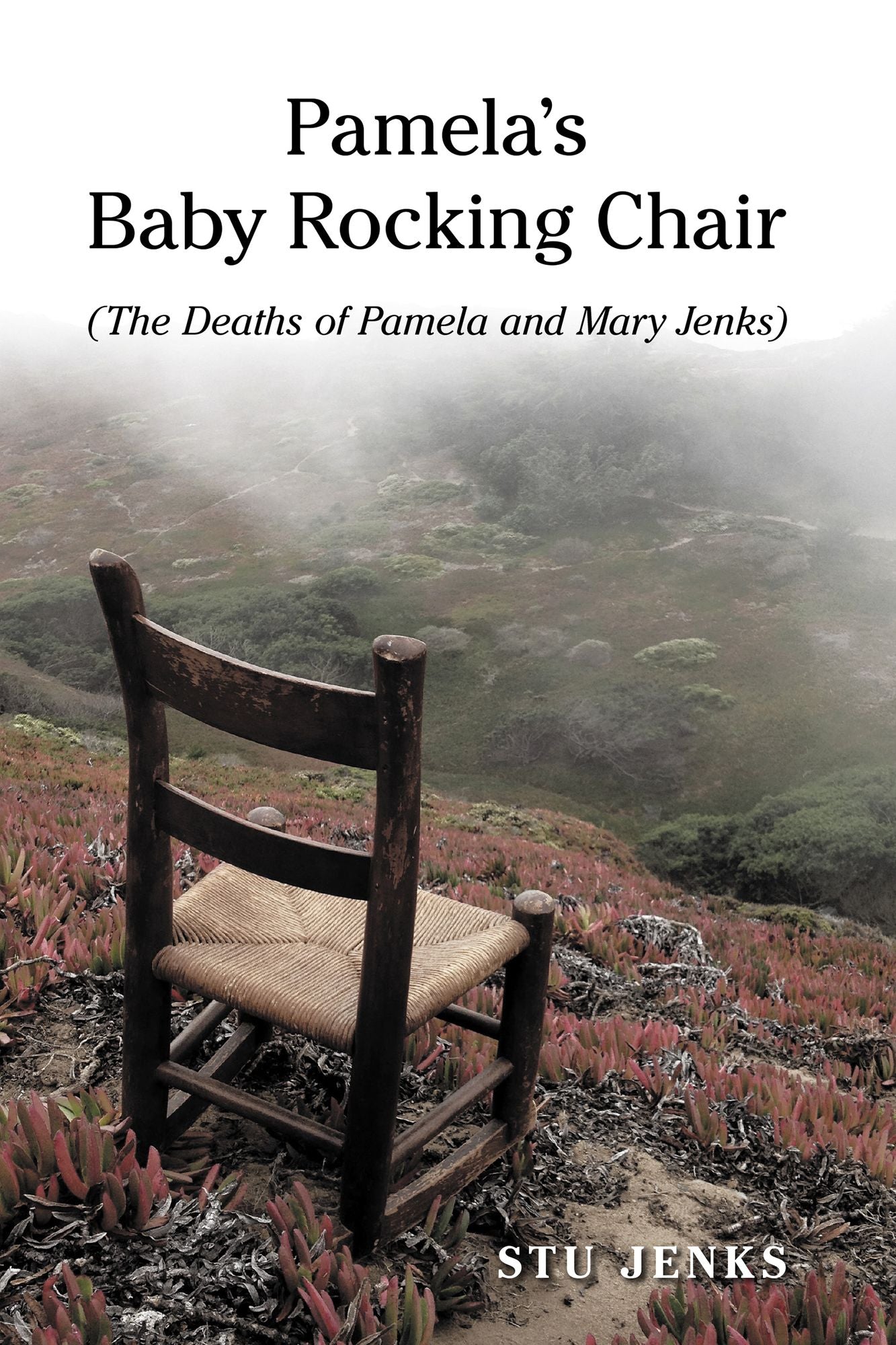 Pamela's Baby Rocking Chair: The Deaths Of Pamela and Mary Jenks