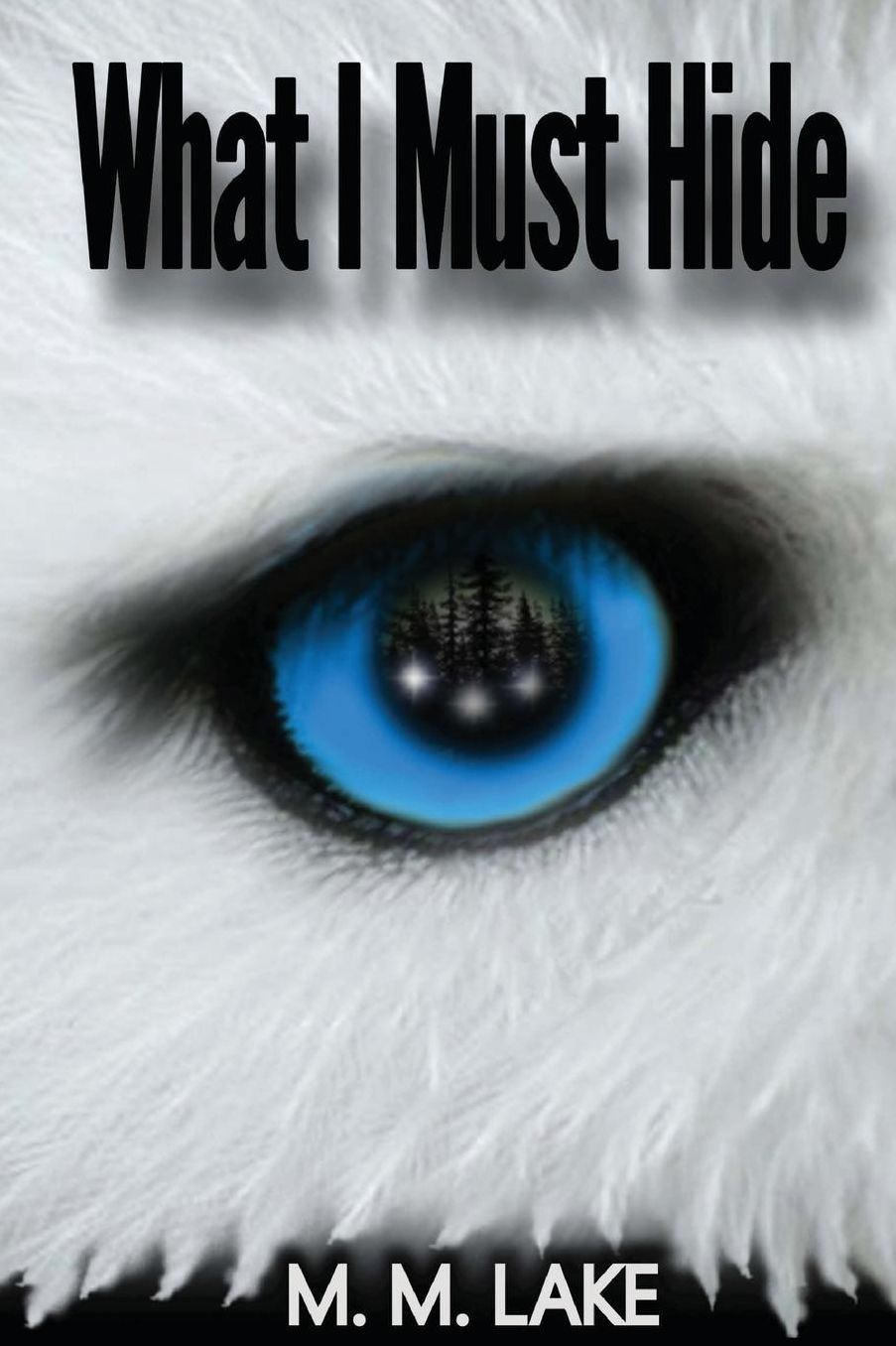What I Must Hide (To Guard and To Guide, Book 1)