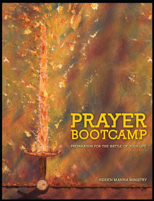 Prayer Boot Camp: Preparation for the Battle of Your Life (PagePerfect NOOK Book)