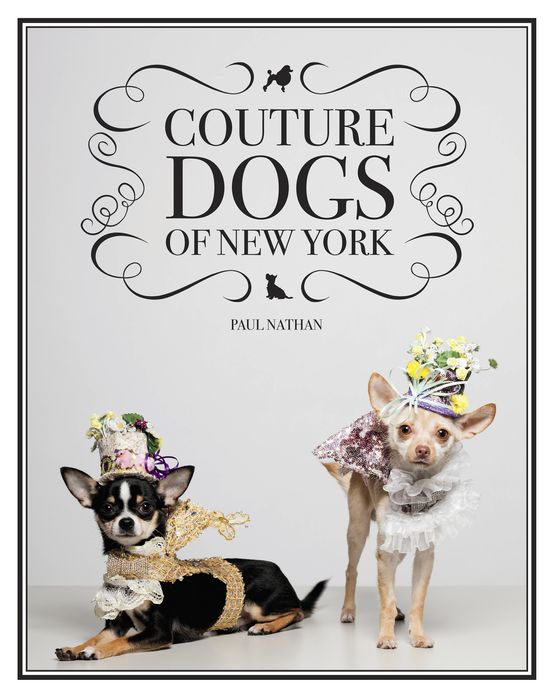 Couture Dogs of New York