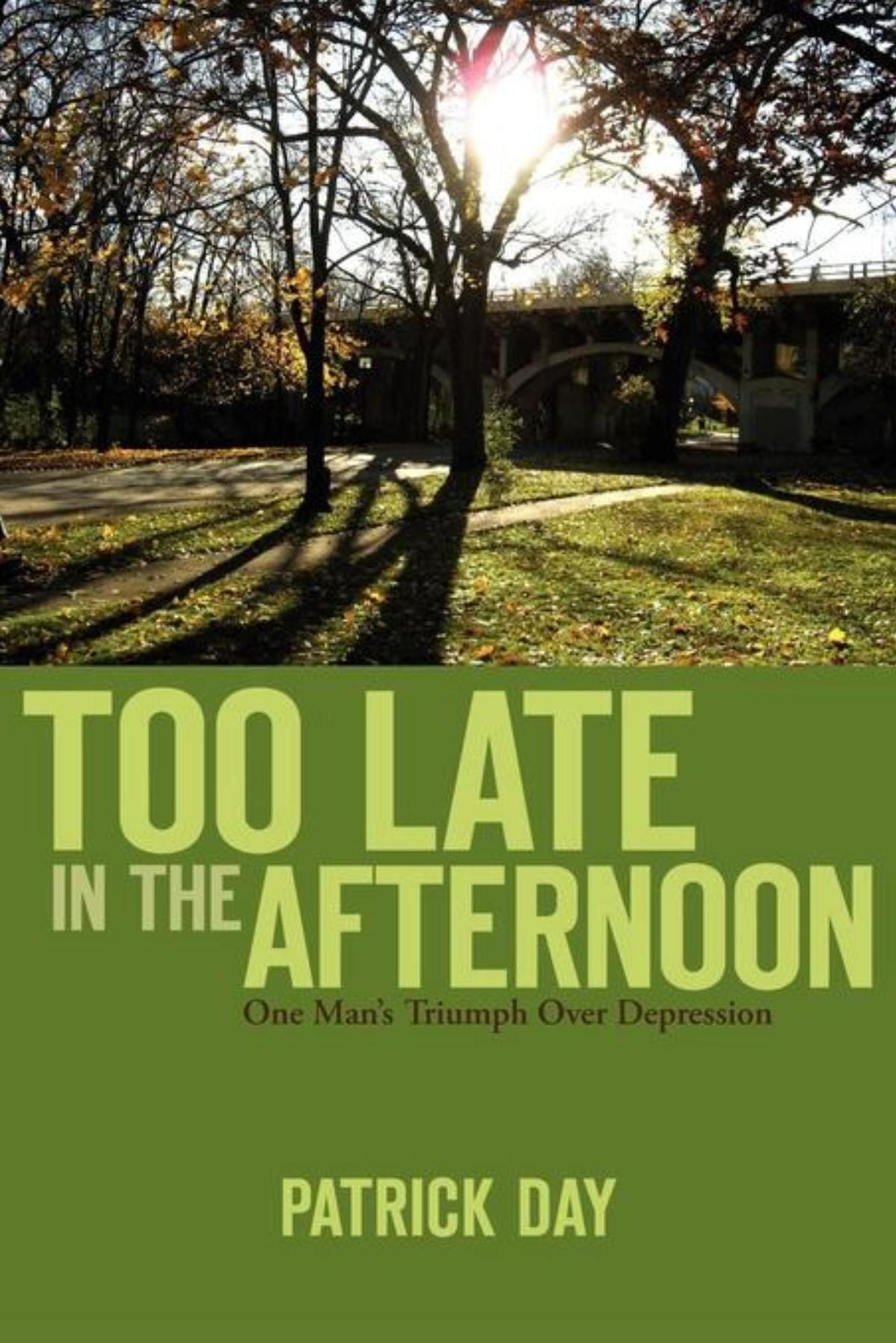 TOO LATE IN THE AFTERNOON: One Man's Triumph Over Depression