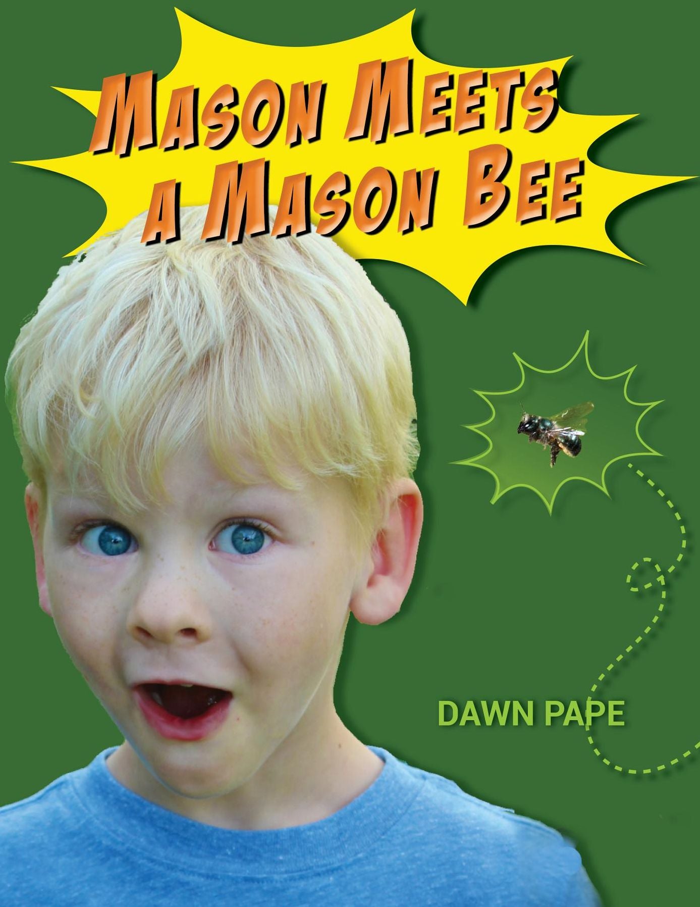 Mason Meets a Mason Bee: An Educational Encounter with a Pollinator