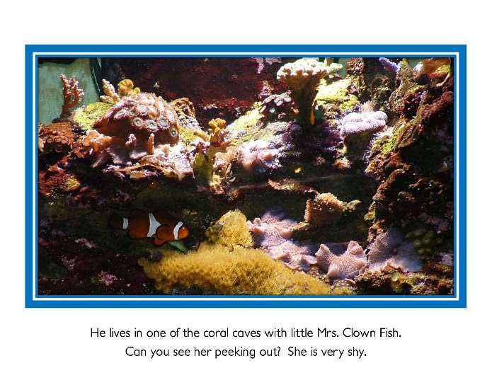 Our Salt Water Aquarium