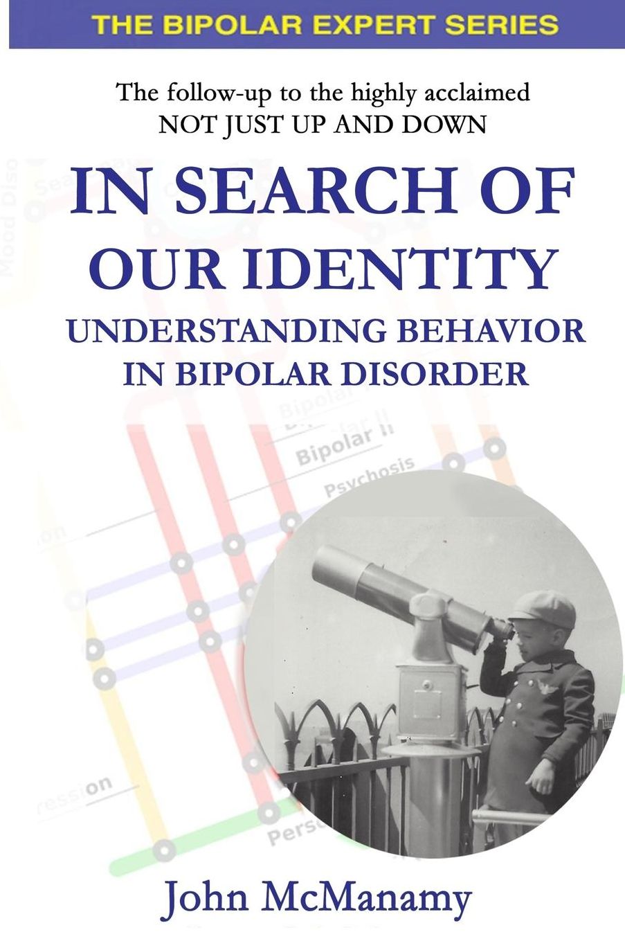 In Search of Our Identity: Understanding Behavior In Bipolar Disorder