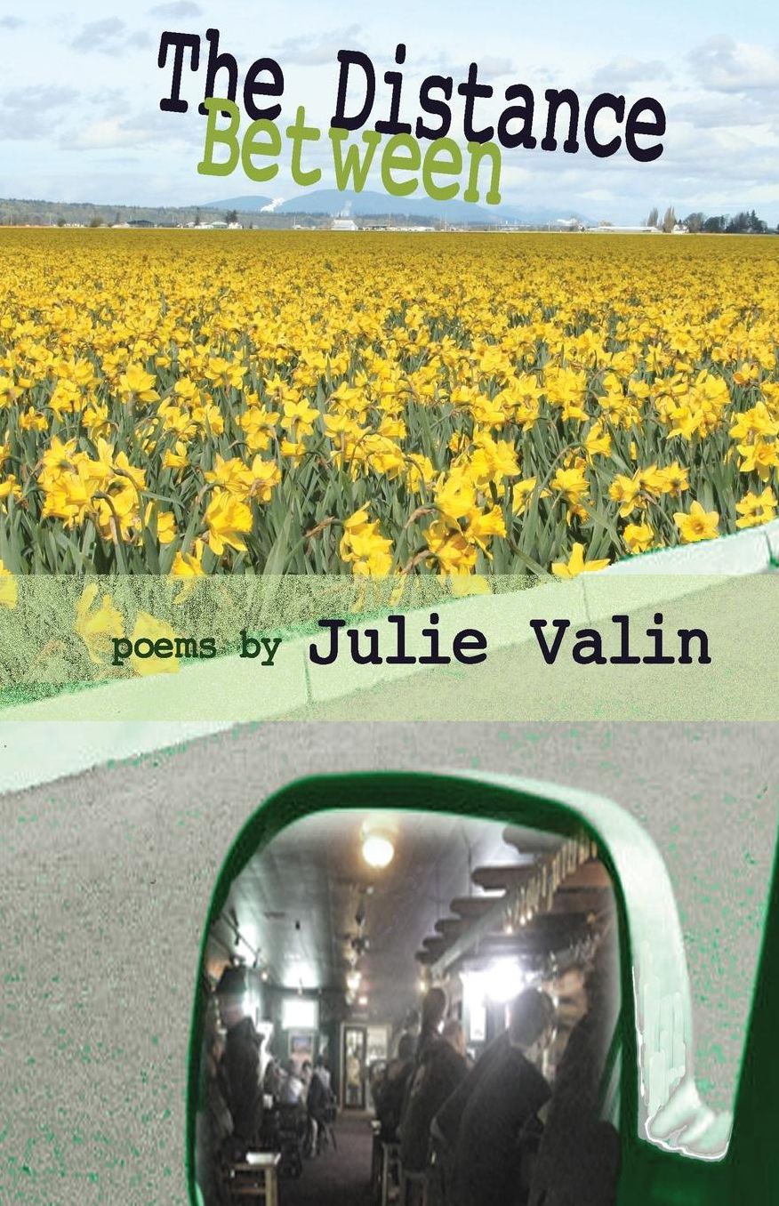 The Distance Between: poems by Julie Valin