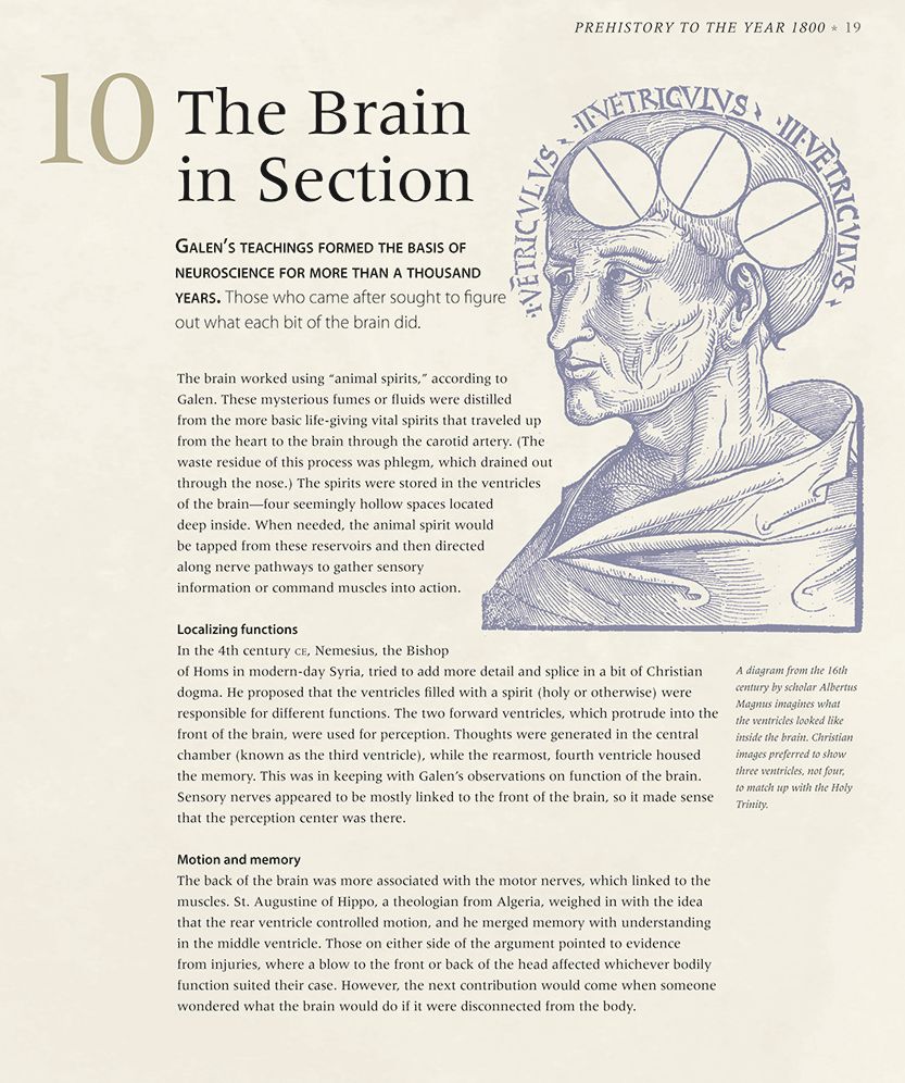 The Brain: An Illustrated History of Neuroscience (100 Ponderables)