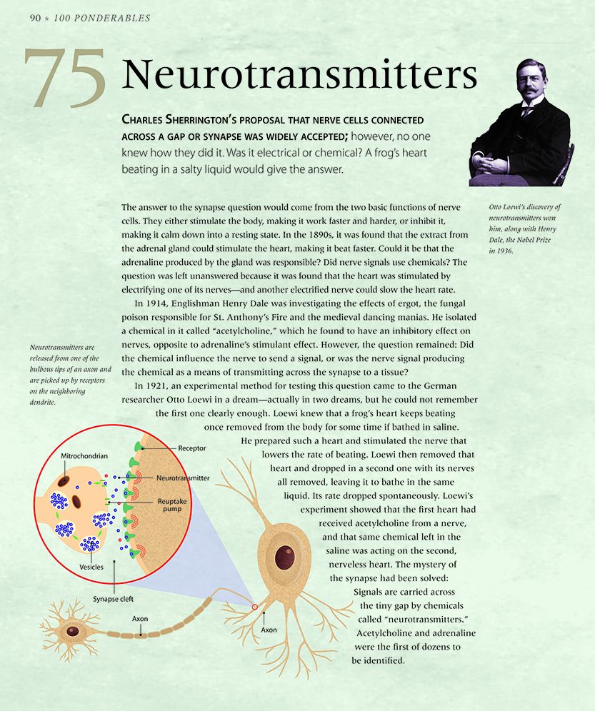 The Brain: An Illustrated History of Neuroscience (100 Ponderables)