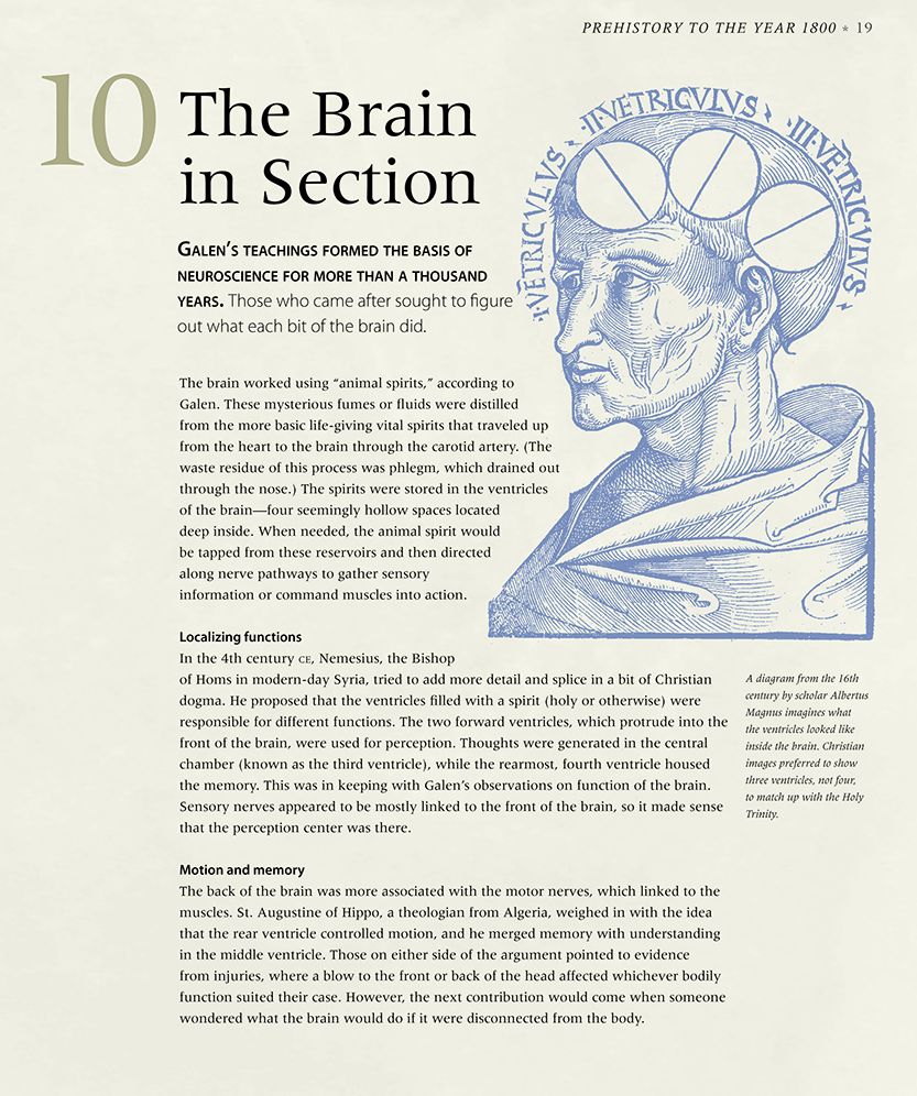 The Brain: An Illustrated History of Neuroscience (100 Ponderables)