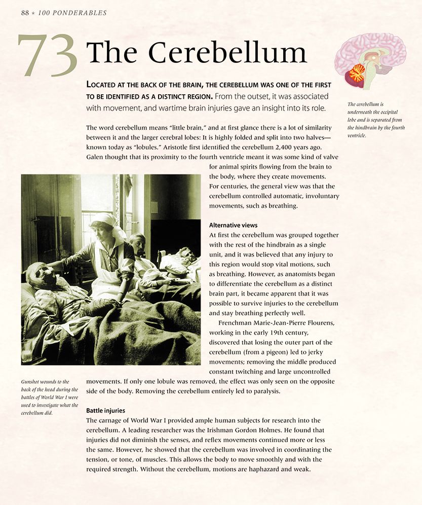 The Brain: An Illustrated History of Neuroscience (100 Ponderables)