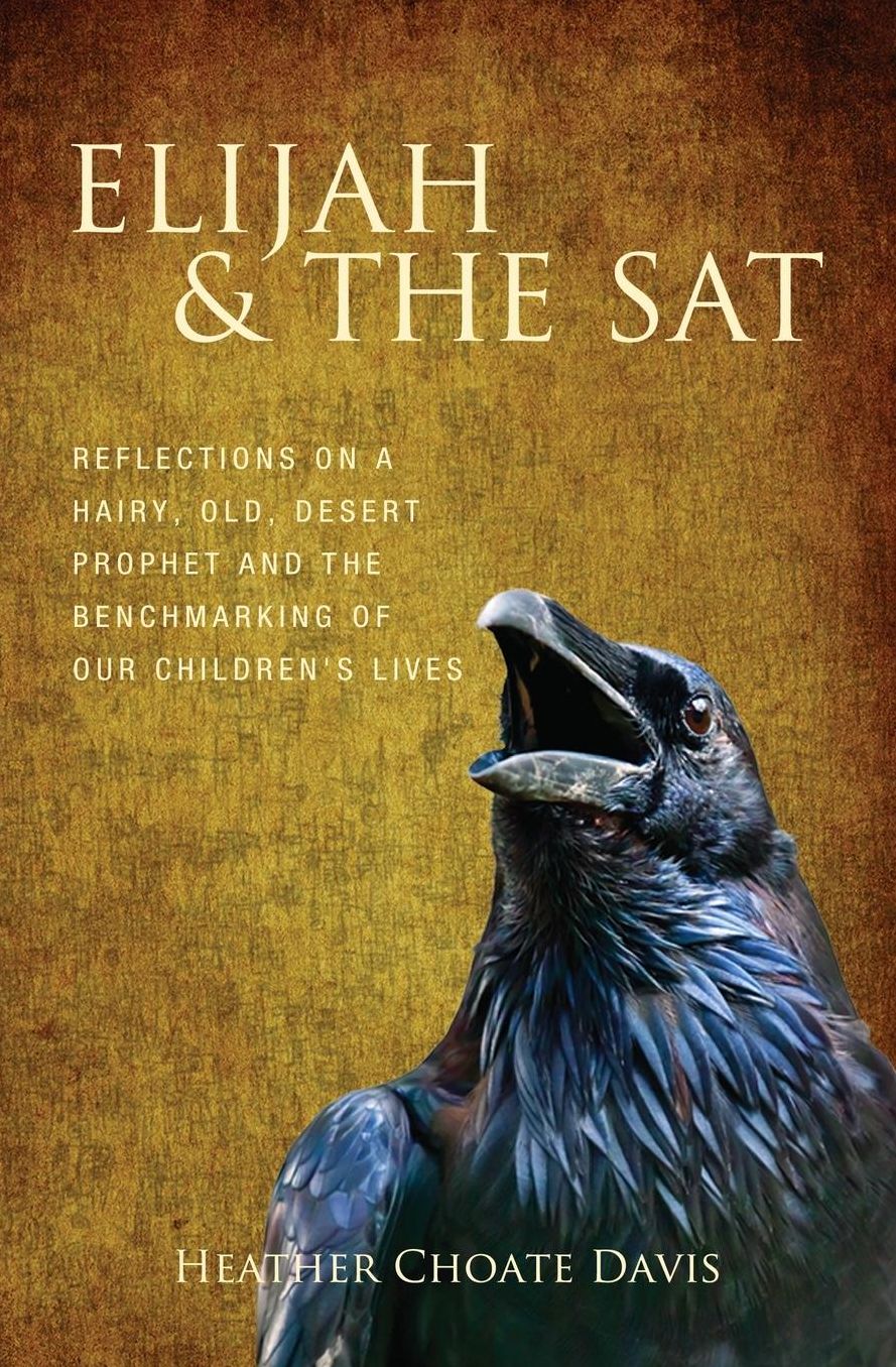 Elijah & the SAT: Reflections on a hairy, old, desert prophet and the benchmarking of our children's lives