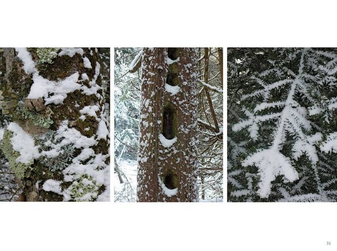 Art of Winter: A Photographic Essay