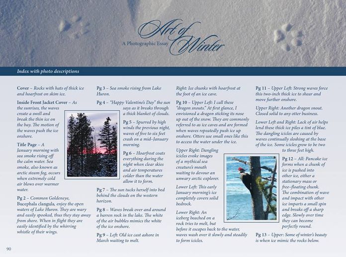 Art of Winter: A Photographic Essay
