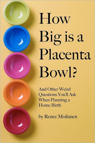 How Big Is a Placenta Bowl?: And Other Weird Questions You'll Ask When Planning a Home Birth