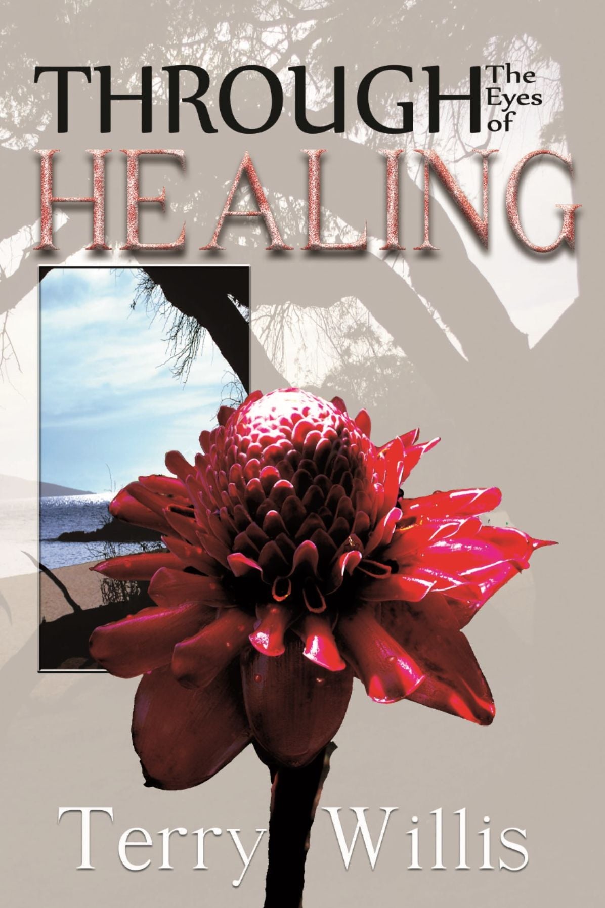 Through the Eyes of Healing