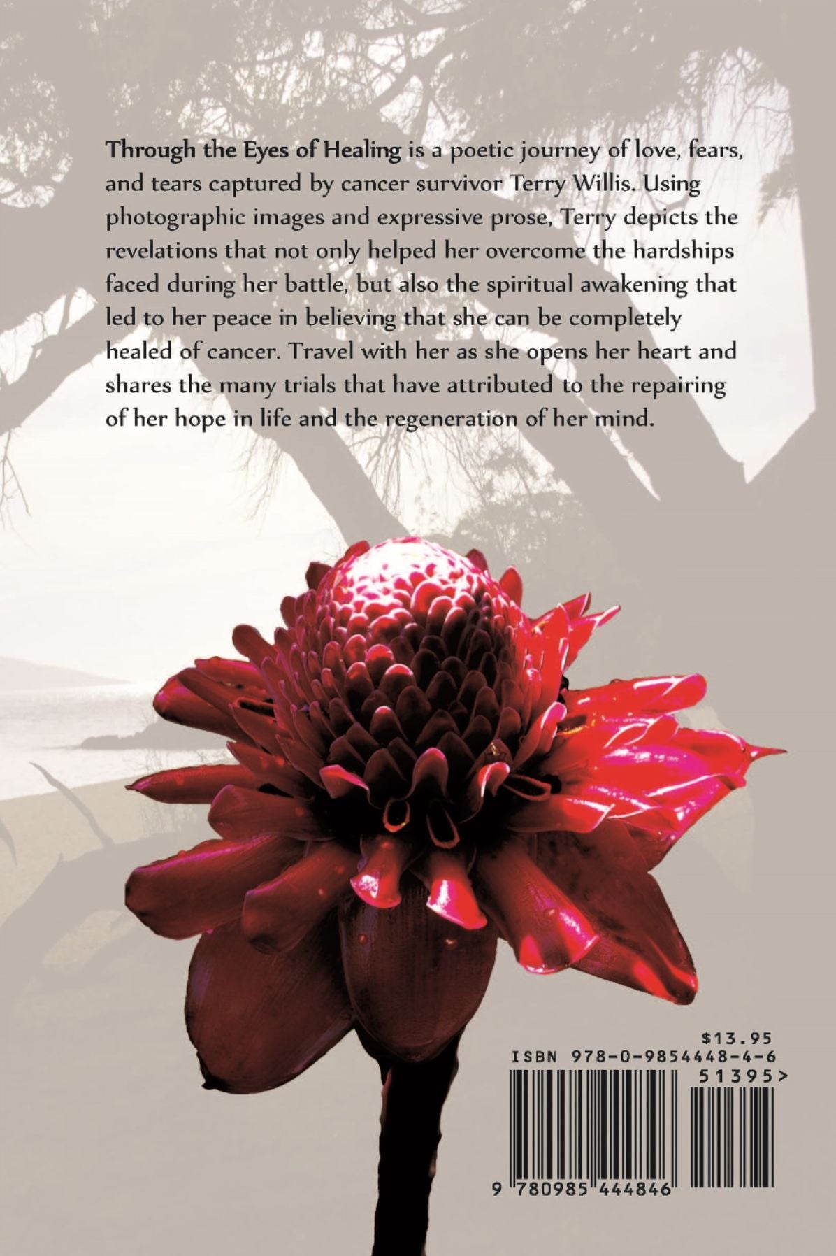 Through the Eyes of Healing