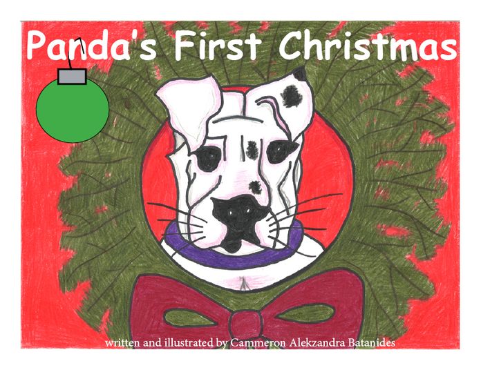 Panda's First Christmas