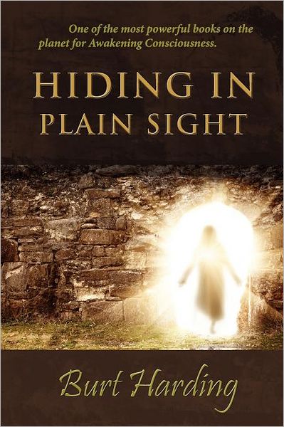 Hiding In Plain Sight