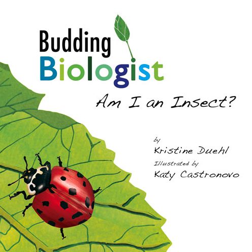 Am I an Insect?