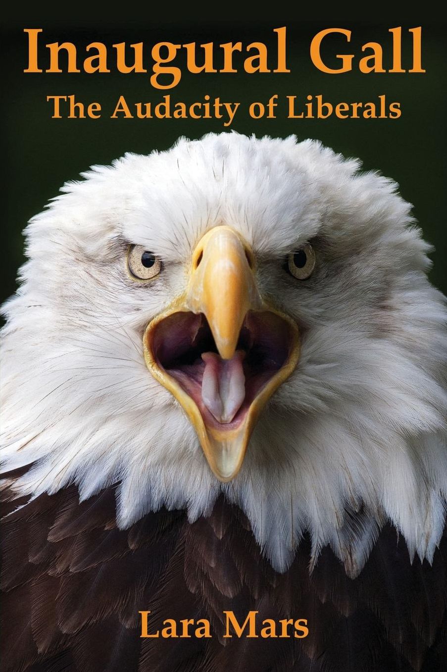 Inaugural Gall: The Audacity of Liberals