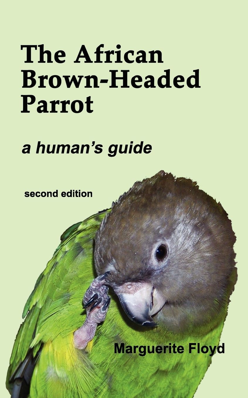 The African Brown-Headed Parrot: A Human's Guide