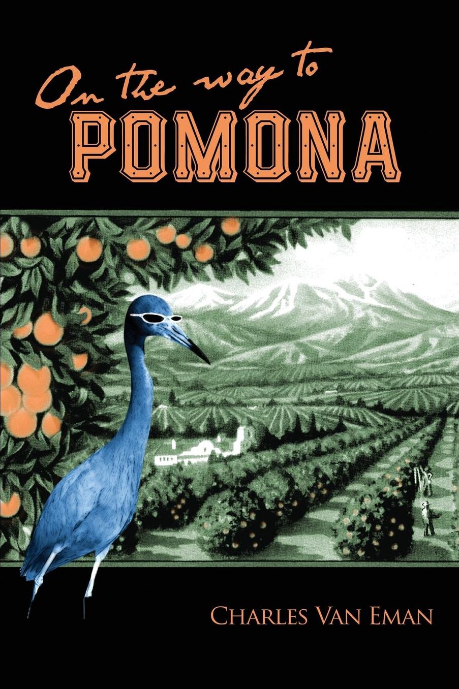 On The Way To Pomona