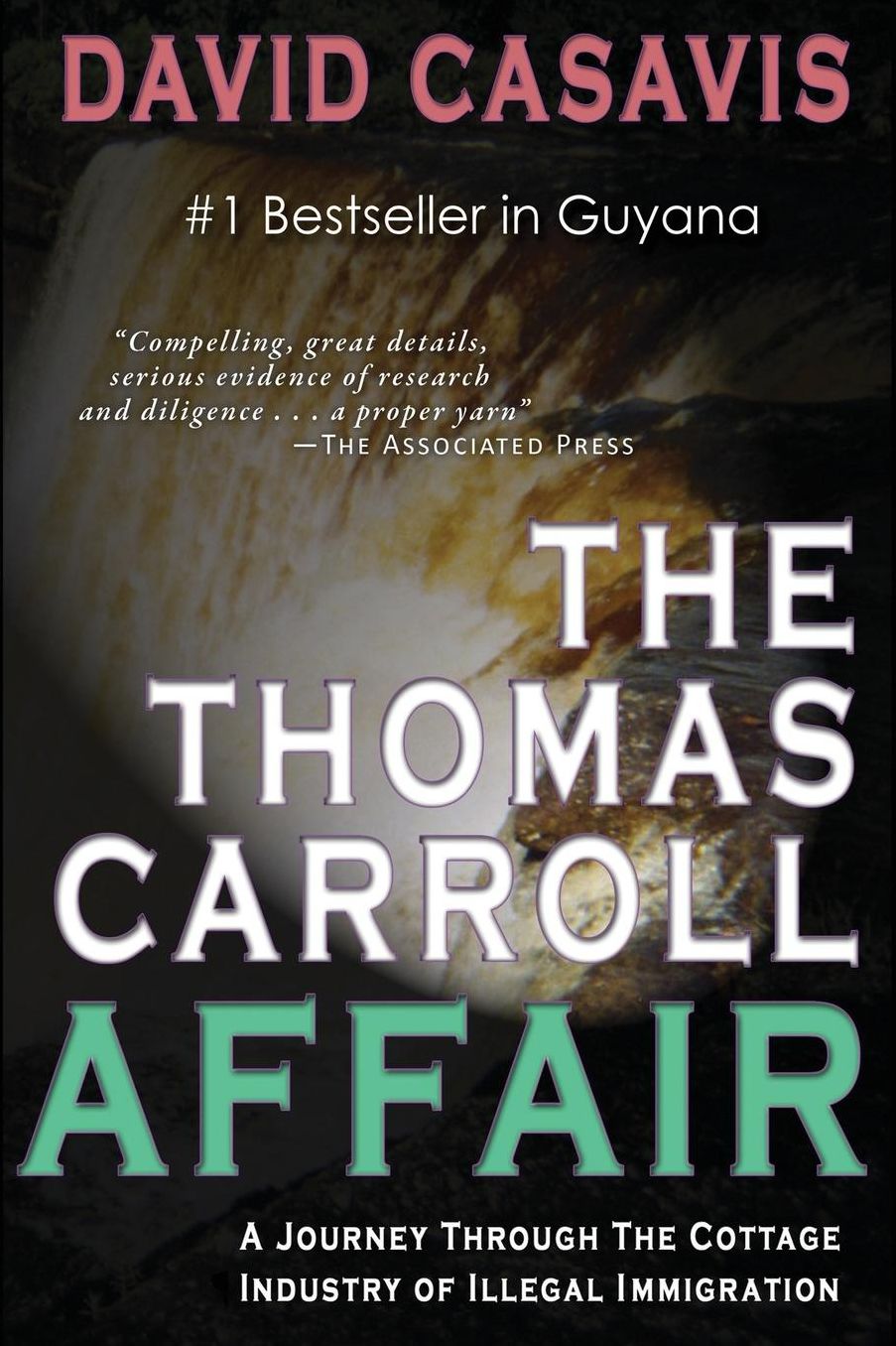 The Thomas Carroll Affair: A Journey Through the Cottage Industry of Illlegal Immigration