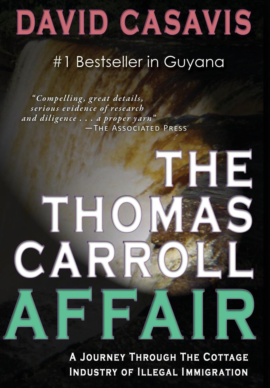 The Thomas Carroll Affair: A Journey Through the Cottage Industry of Illlegal Immigration