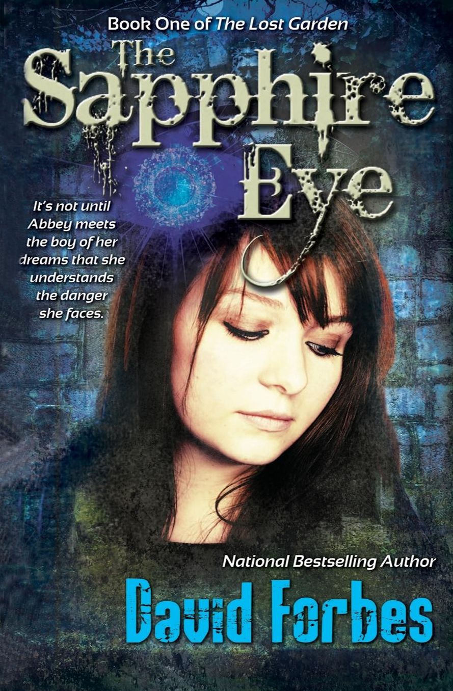The Sapphire Eye: It's not until Abbey meets the boy of her dreams that she understands the danger she faces.