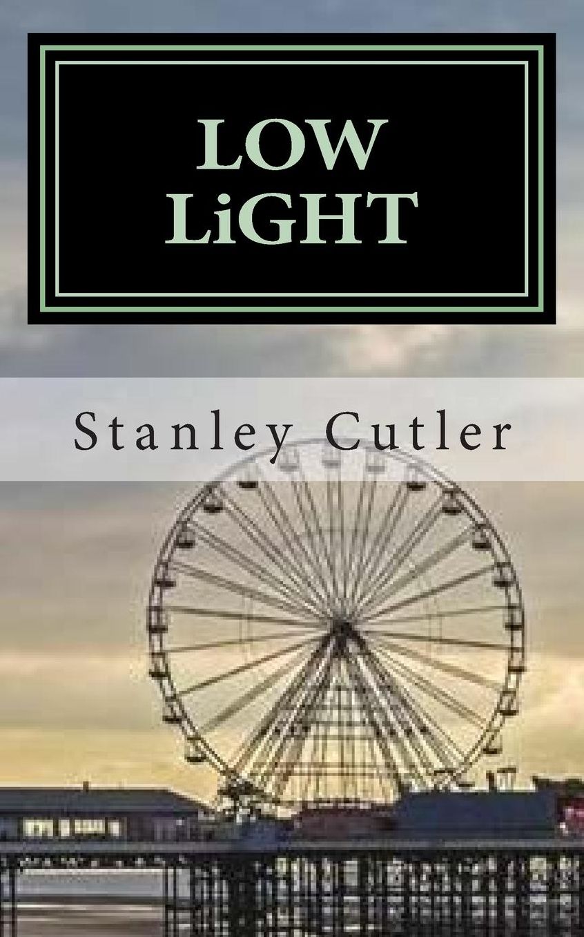 Low Light: a novel