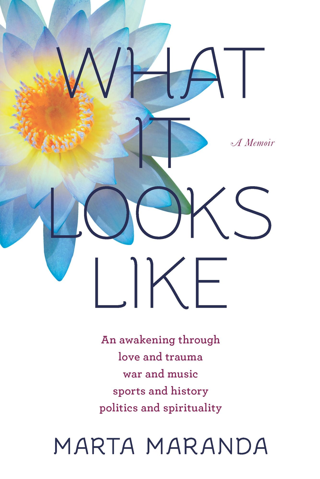 What It Looks Like: An awakening through love and trauma, war and music, sports and history, politics and spirituality