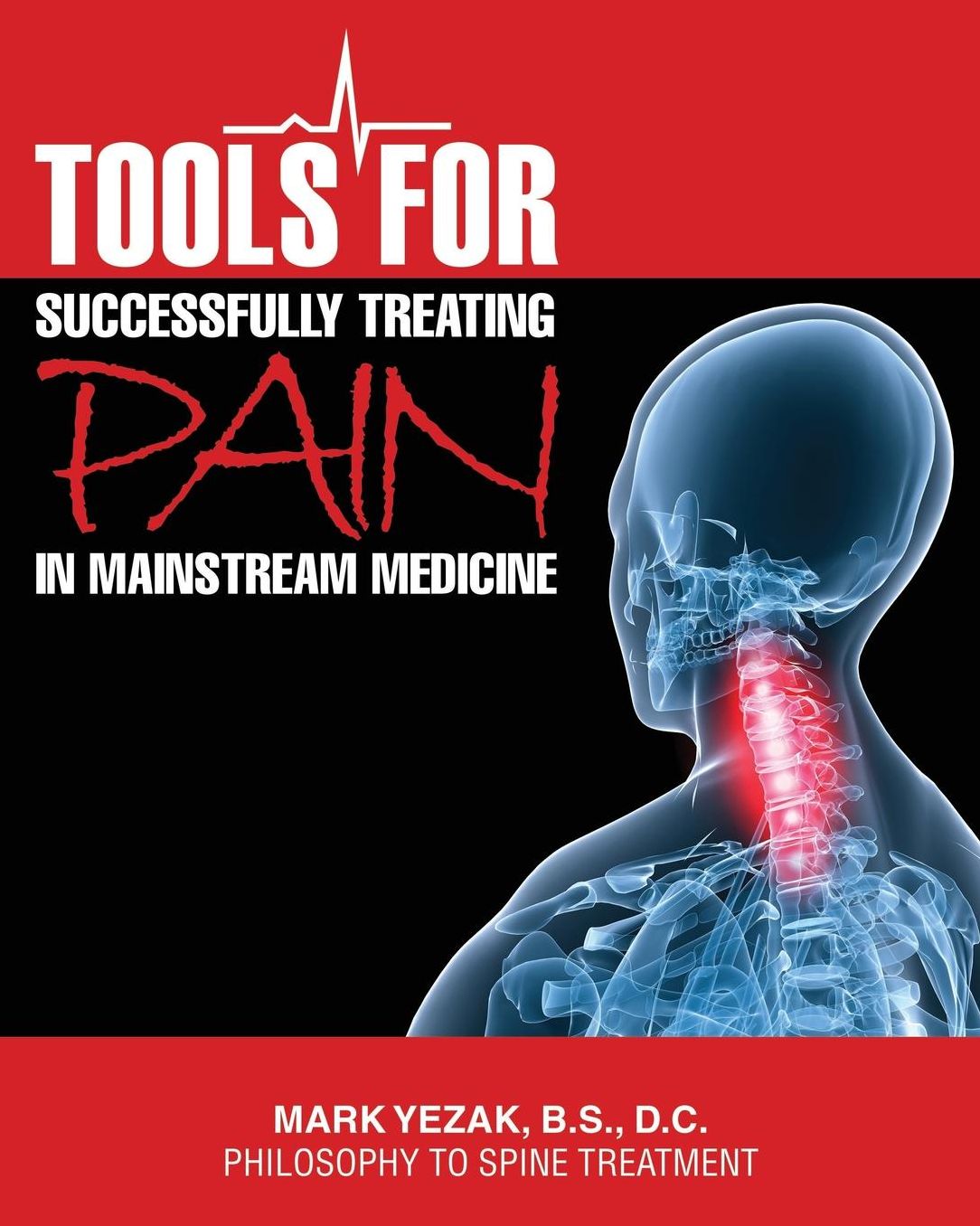 Tools For Successfully Treating Pain in Mainstream Medicine: Philosophy to Spine Treatment