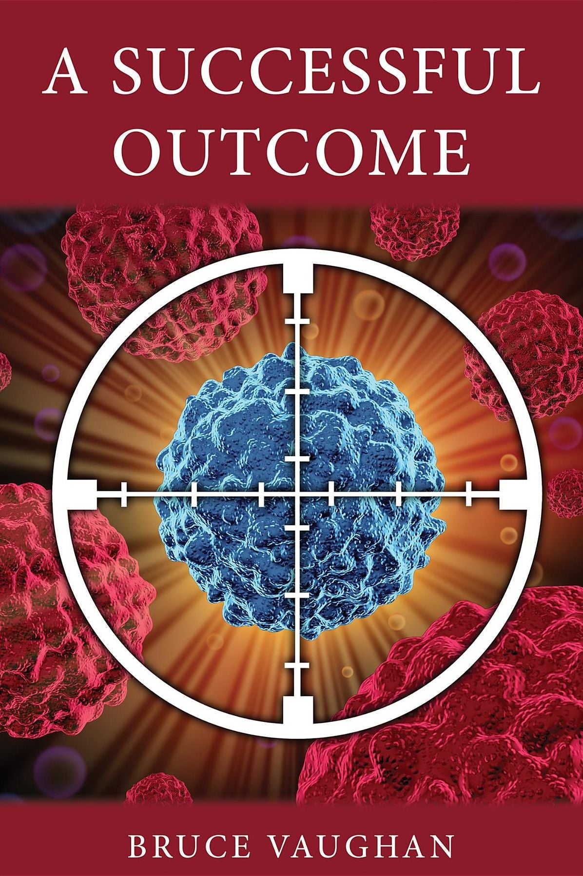 A Successful Outcome: A Novel
